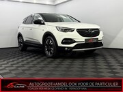 Opel Grandland - X 1.2 Turbo Business Executive Half leder, Camera, Navi, Rij