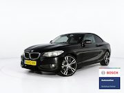 BMW 2-serie - Coupé 220i Business HARMAN/KARDON - STOELVERWARMING - NAVI