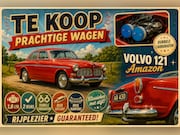 Volvo Amazon - 2 deurs