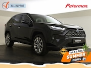 Toyota RAV4 - 2.5 Hybrid AWD Executive | Blind Spot | Stoel+ achterb. verw
