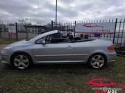 Peugeot 307 - 2.0-16V Palm Beach zeer nette auto