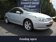 Peugeot 307 - CC 2.0-16V Leder, Climate & Cruise control, LM velgen, enz.