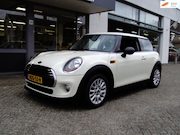 MINI One - 1.2 Salt Business