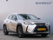 Lexus UX - 250h Business Line 262Pk Winterpakket / Camera / Apple Carpl