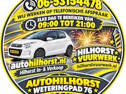 Ford Fiesta - 1.3-8V ( 15 KEER FOTO'S ) WIJ WERKEN OP TELEFONISCHE AFSPRAA