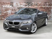 BMW 2-serie - 228i High Executive 18 Inch / Navigatie / Trekhaak / Leder /