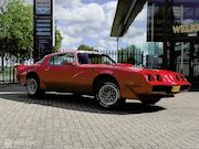 Pontiac Trans-Am - Firebird Coupe 6.6L V8 | Uniek | Nieuwstaat