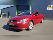 Peugeot 307 - 2.0-16V Sport in nette staat Goed onderhouden Cabrio elec. i