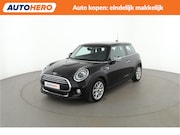 MINI One - Mini 1.5 Pepper |NL28467|