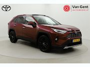 Toyota RAV4 - 2.5 Hybrid AWD Executive | Panoramadak | Dodehoek detectie |