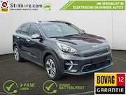 Kia Niro EV - e-Niro DynamicLine 39 kWh Stoelverwarming, Lage Km.St