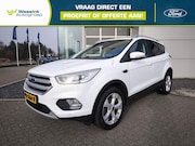Ford Kuga - 1.5 EcoBoost 120pk 2WD Titanium | Panoramadak | Trekhaak | W