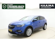 Opel Grandland X - 1.2 Turbo Business Executive | Electrische achterklep | Navi