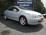 Peugeot 307 - CC 2.0-16V Leder, Climate & Cruise control, LM velgen, enz.