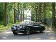 Jaguar XK - S0396 - M1242