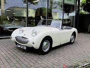 Austin Sprite - mk1 Frogeye