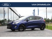 Ford Fiesta - 1.0 EcoBoost 100pk Aut 5dr Titanium