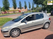 Peugeot 307 - 1.6-16V XT, ECC, Cruise Control,