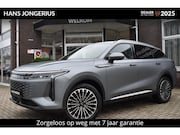 Omoda 9 - SHS-P Premium INCL ZOMERPREMIE EN INRUILPREMIE | MATGRIJS |