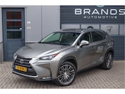 Lexus NX - 300h AWD Luxury Line HEV Navi Clima Leder Camera