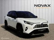 Toyota RAV4 - 2.5 Hybrid Executive | JBL | leder | 60.951 KM