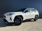 Toyota RAV4 - 2.5 Hybrid AWD Bi-Tone LEER CAMERA ADAPT CRUISE ECC LMV