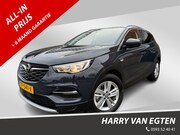 Opel Grandland - X 1.2 Turbo Business Executive | Navi | ECC | Cruise | Trekh