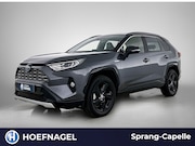 Toyota RAV4 - 2.5 Hybrid Dynamic | Camera | Navi | Cruise Control | Stoelv