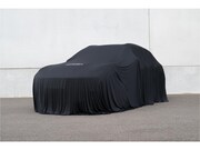 Volkswagen Polo - 2.0 TSI GTI