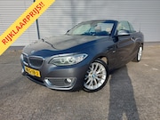BMW 2-serie - 218i High Executive, airco, navigatie, stoelverwarming, park
