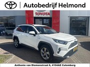 Toyota RAV4 - 2.5 Hybrid Business Plus