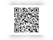 Ford Puma - 1.0 EcoBoost Hybrid ST-Line Acc Carplay Stoelverw, Camera In