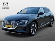 Audi e-tron - 55 quattro Business edition | Leder