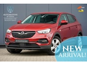 Opel Grandland X - 1.6 TURBO 229 pk HYBRID BUSINESS AUTOMAAT / Z.G.A.N. / GRATI