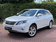 Lexus RX-Serie - YOUNGTIMER Pearl-white/Zwart leder LED