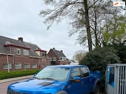 Ford F-150 - SVT