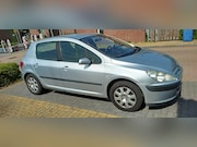 Peugeot 307 - 1.4 XS