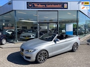 BMW 2-serie - Cabrio 220i