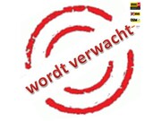 Toyota Auris - 1.6-16V Sol