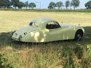 Jaguar XK - 120 Coupe