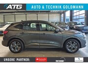 Ford Kuga - 2.0 TDCI ST-LINE NAVI SITZHZ ACC CAMERA AHK