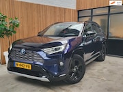 Toyota RAV4 - 2.5 Hybrid Bi-Tone Dealeronderhouden