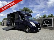 Renault Master - | HORSETRUCK | STX | STALLION 5XL | 2018 | AUTOMATIC | DUB C