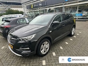Opel Grandland X - 1.2 Turbo Business Executive | Achteruitrijcamera | Airco (a