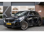 BMW X1 - xDrive25e M Sport | Shadow | Driving Ass. Plus | Camera | Ad