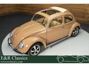 Volkswagen Kever - Ovaal Ragtop | 1957