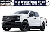 Ford F-150 - Lightning Pro | Extended Range (500+ KM) | 3.500 kg. trekgew