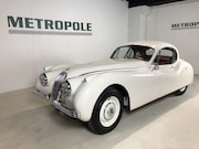 Jaguar XK - Fixed Head Coupe M0894