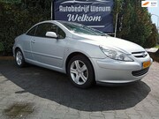 Peugeot 307 - CC 2.0-16V Leder, Climate & Cruise control, LM velgen, enz.