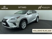 Lexus NX - 300h AWD Luxury Line, Premium navi, Apple Car Play